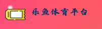 使用指南与常见问题